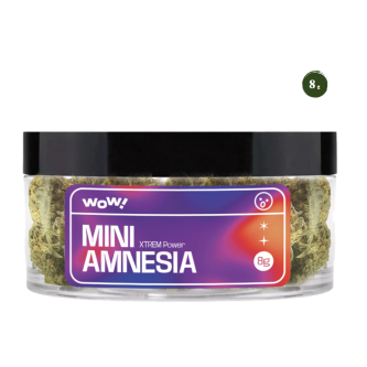 FLEURS DE CBD AMNESIA 8G