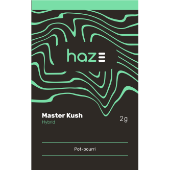 SACHET HAZE MASTER KUSH 2g