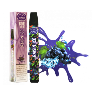 B.10 VAPE PEN 800 PUFF RAISIN ICE (9mg)