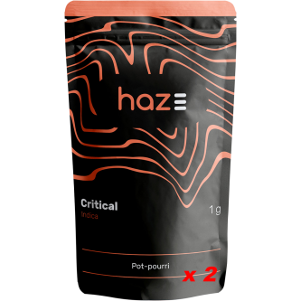 LOT DE 2 SACHETS HAZE CRITICAL 1g