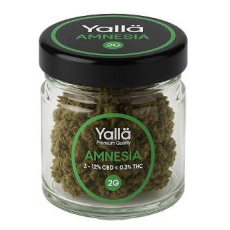 POT YALLÄ AMNESIA 2G