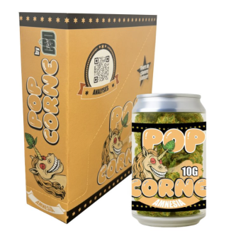 B.6 POP CORNE AMNESIA 10G