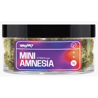 FLEURS DE CBD AMNESIA 8G