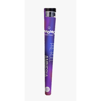 B.49 STICKS WOW AMNESIA