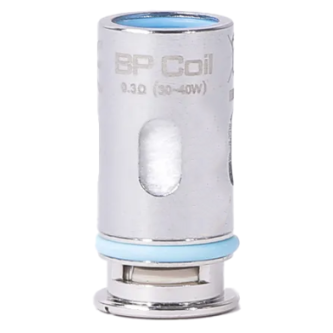 RESISTANCES BP 0.3 OHM (5 PCS)