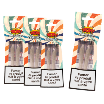 3+1 B.25 BLISTERS 2X STICKS AMNESIA