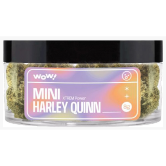 FLEURS DE CBD HARLEY QUINN 8G