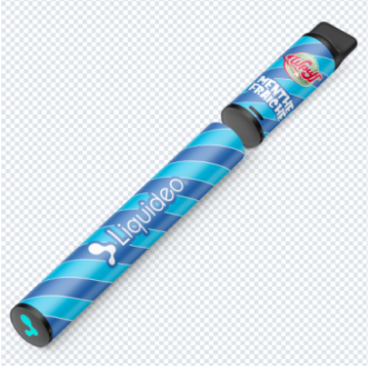 START KIT 600 WP MENTHE 9MG