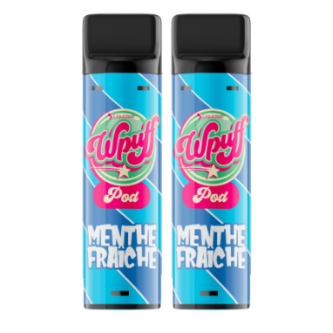ETUIS 2 PODS V2 MENTHE FRAICHE 09MG