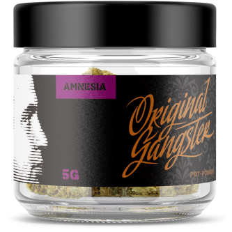 ORIGINAL GANGSTER AMNESIA 5g