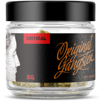 ORIGINAL GANGSTER CRITICAL 5g