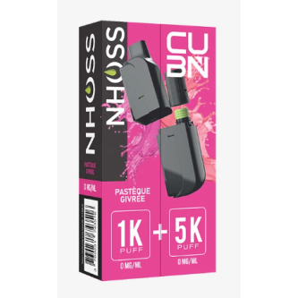 B.5 CUB'N POD 2ML + FLACON 10ML PASTEQUE GIVREE 10MG