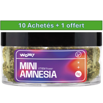 FLEURS DE CBD AMNESIA 8G