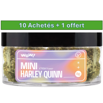 FLEURS DE CBD HARLEY QUINN 8G
