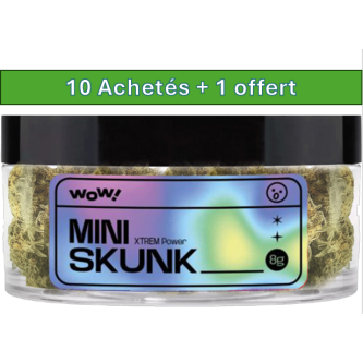 FLEURS DE CBD SKUNK 8G